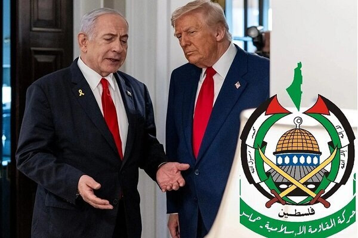 یک کارشناس بین‌المللی: حماس بهترین سناریو را در پاسخ به ترامپ برگزید