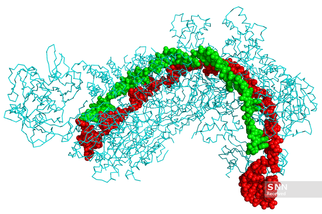 نگاهی به تکنولوژی ژنتیکی کریسپردستکاری ژن برای ساخت ابرانسان/ کدام کشور ها دنبال ساخت ابرسرباز های جنگی هستند؟