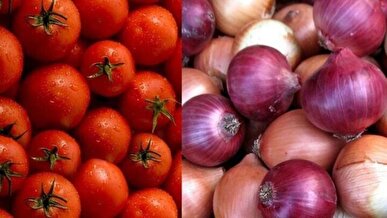 عراق واردات گوجه‌فرنگی و پیاز را از ۱۵ اکتبر آزاد کرد