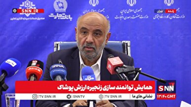 میدری: نرخ تامین مالی با اجرای طرح صندوق ضمانت نصف می‌شود / آمار و سرشماری از شاغلین مشاغل خانگی نداریم + فیلم