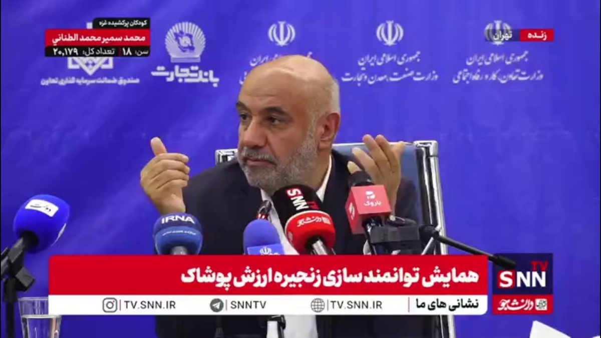 میدری: نرخ تامین مالی با اجرای طرح صندوق ضمانت نصف می&zwnj;شود / آمار و سرشماری از شاغلین مشاغل خانگی نداریم