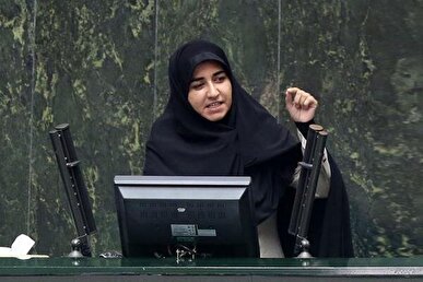 فلاحی: انحلال سازمان منابع طبیعی یعنی انحلال عقلانیت! + فیلم