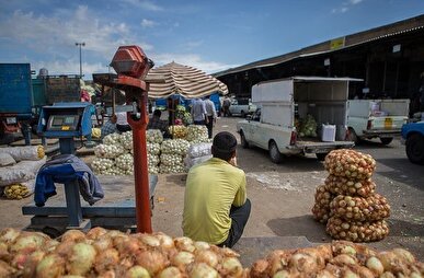 عضو شورای شهر همدان: پروژه میدان میوه و تره‌بار مغایر با قوانین شهرسازی است