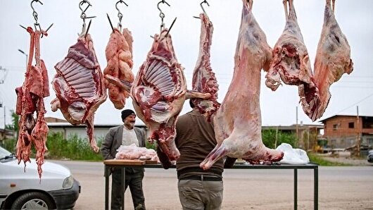 کشتار غیرمجاز دام در کرمانشاه/اختلال در سلامتی مردم جریان دارد!