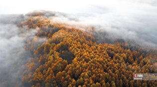 پاییز در سراسر جهان