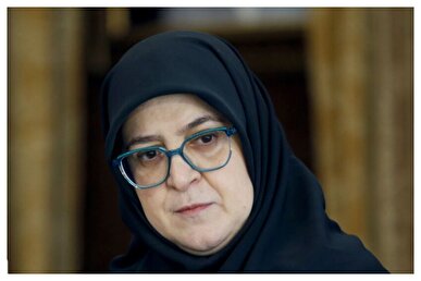 مهاجرانی از تامین ارز خسارت دیدگان بندر شهید رجایی خبر داد