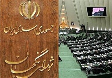 اصلاح عبارتی موادی از لایحه حمایت از ایرانیان خارج از کشور