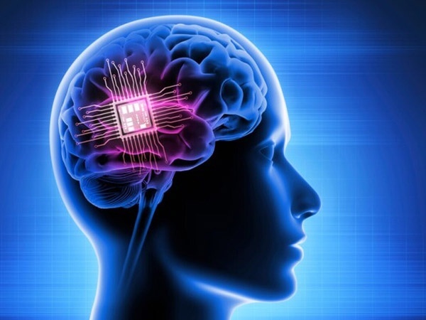 تراشه‌های عصبی/ وقتی طراحی مدار‌ها از مغز ما الهام می‌گیرد