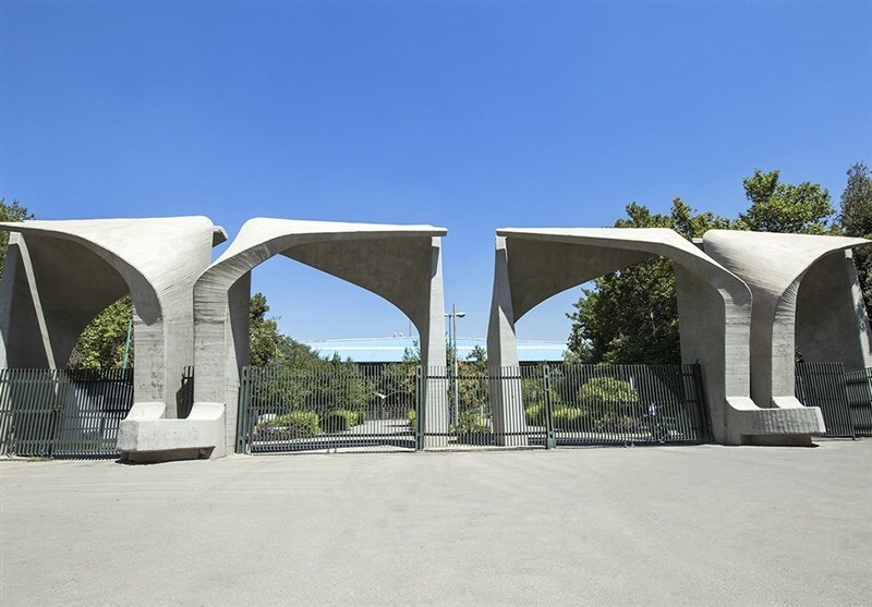 کشف انگل در مزارع مرغ گوشتی ایران / گامی نو در شناخت مهم‌ترین بیماری انگلی طیور کشور