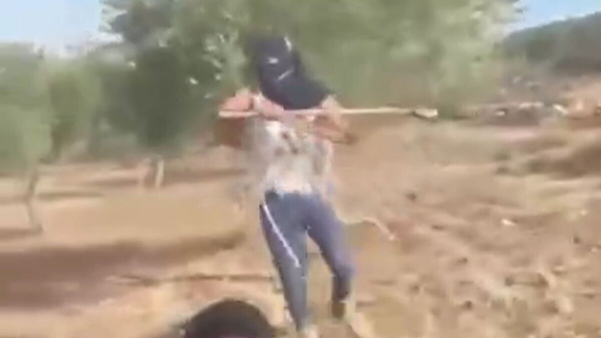 حمله شهرک‌نشین صهیونیست به یک زن فلسطینی