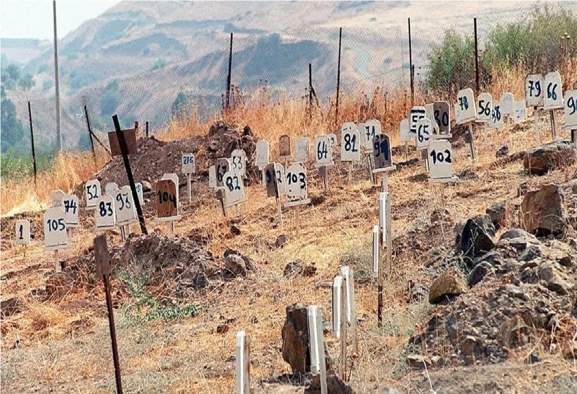 گزارش دردناک از جنایات جنگی رژیم اسرائیل: صهیونیست‌ها اعضای بدن فلسطینی‌ها را سرقت کرده و اجساد را بدون نام دفن کرده‌اند