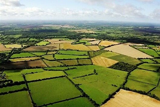 کرمانشاه در جایگاه سوم طرح ملی حدنگاری اراضی کشاورزی قرار گرفت 