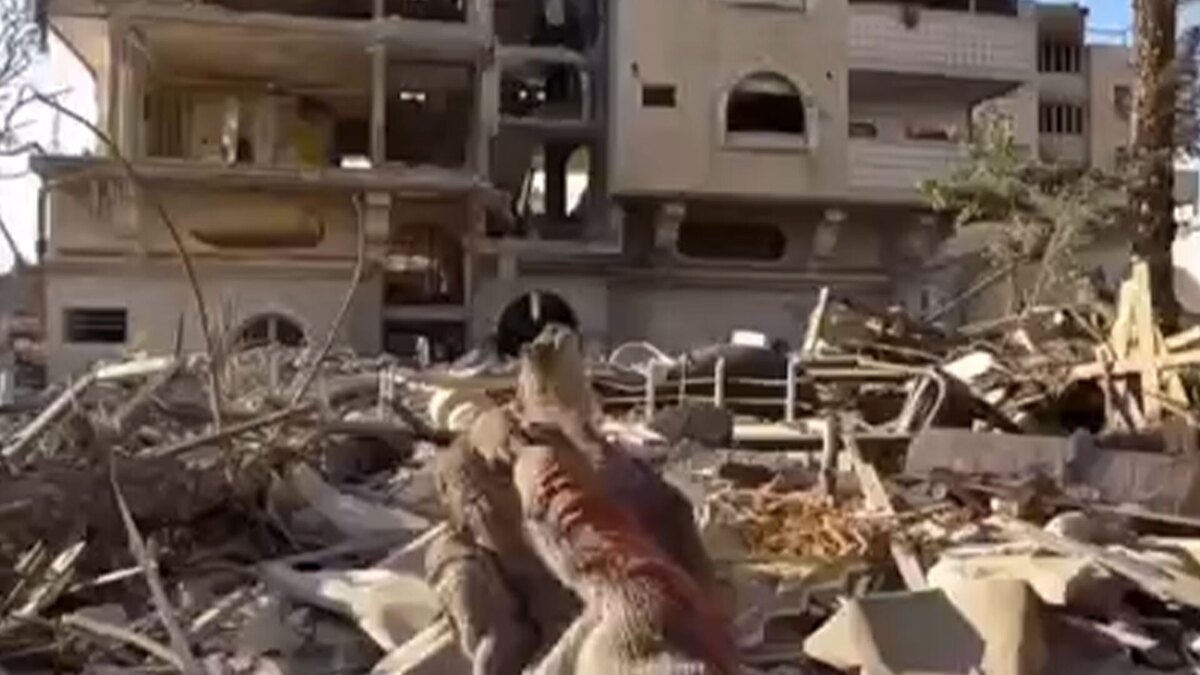 بازسازی خانه ویران‌شده با دستان خالی