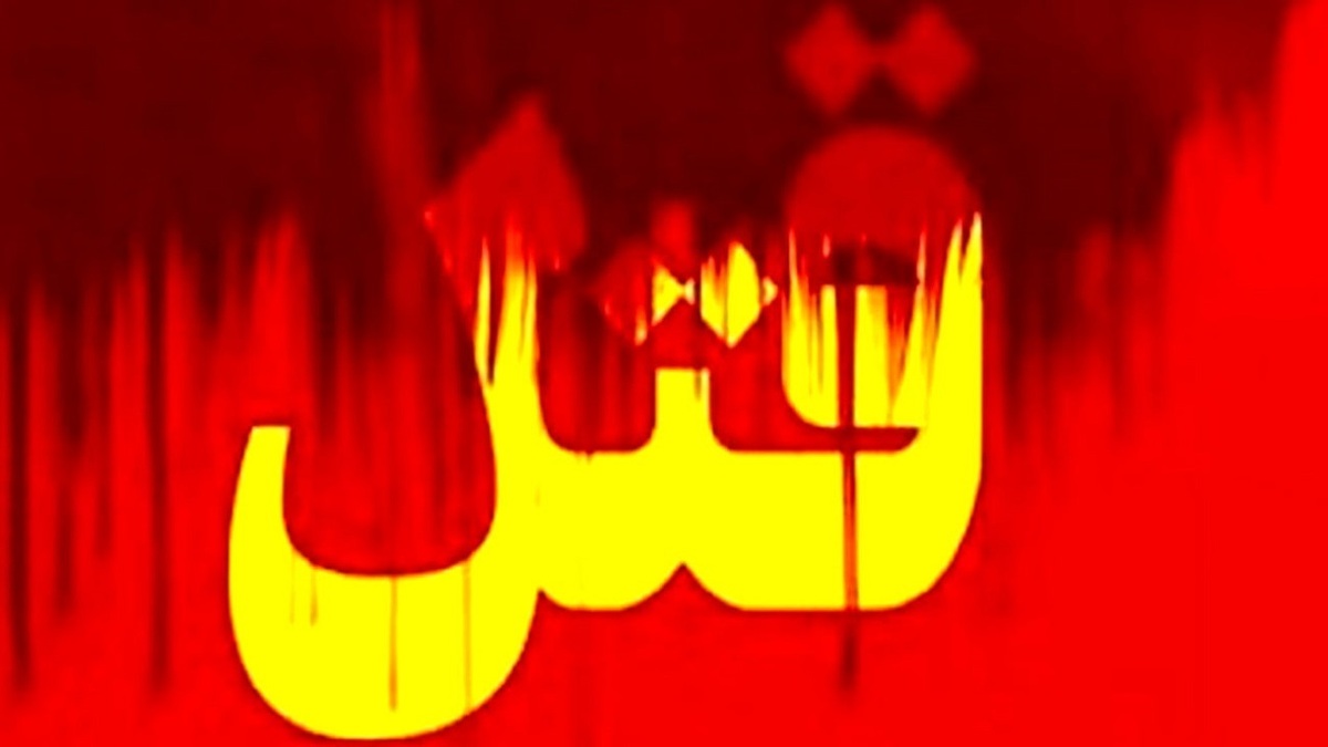 راز جنایت شبانه در قلعه&zwnj;نو فاش شد