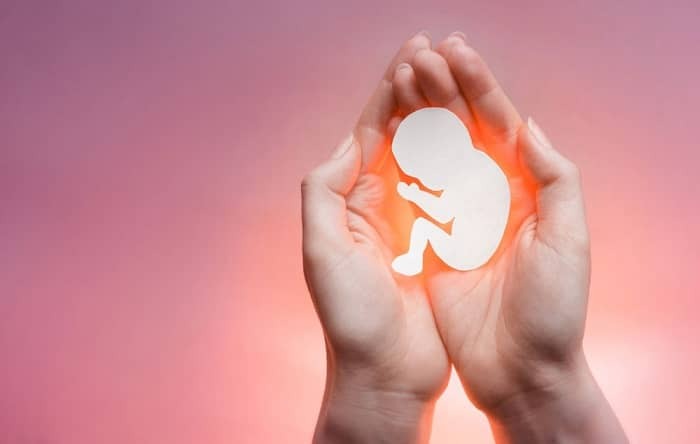 ۵۰ درصد کالبدشکافی&zwnj;های کردستان مربوط به تصادفات است