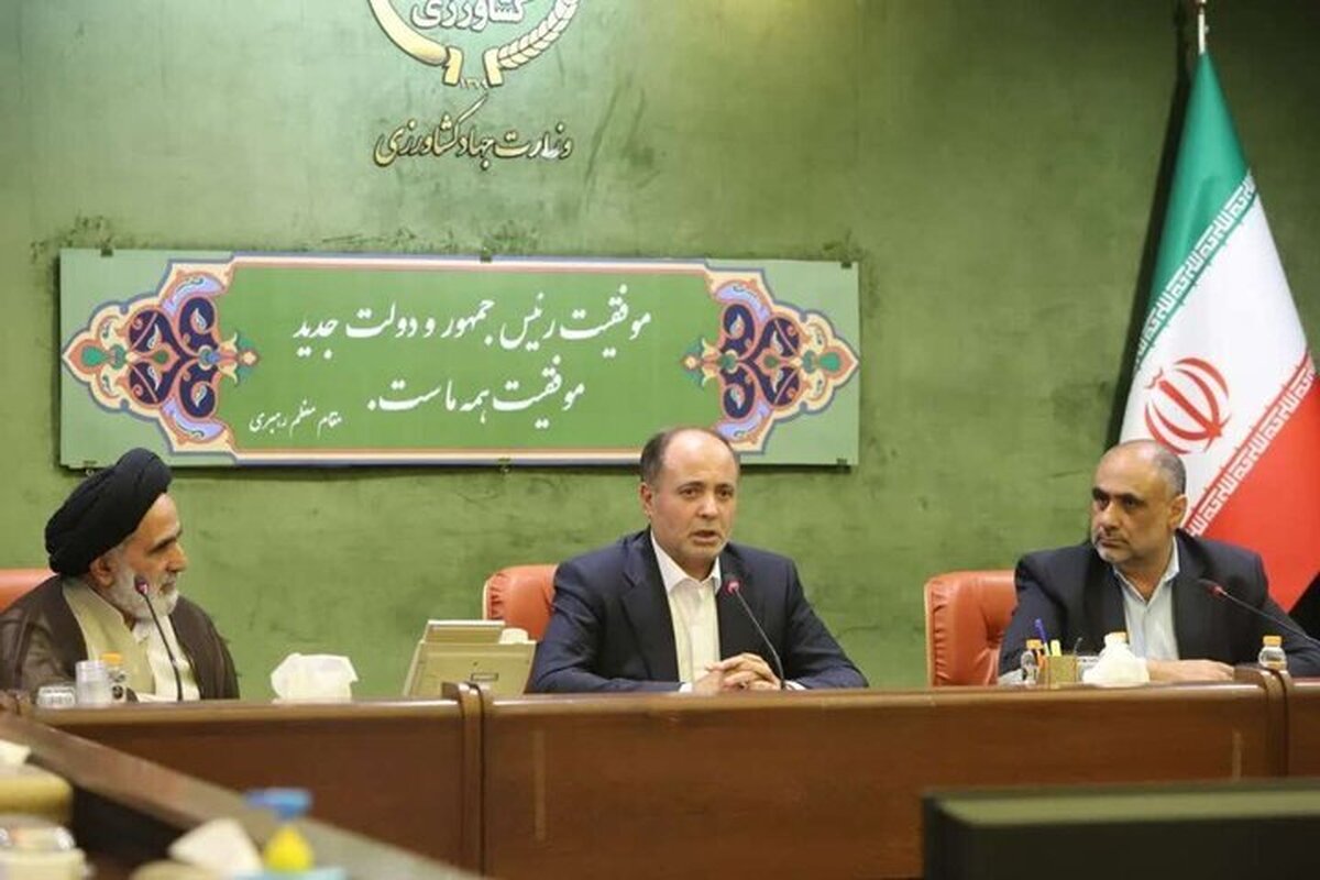 نوری: دولت همه مزارع گندم را بیمه می کند