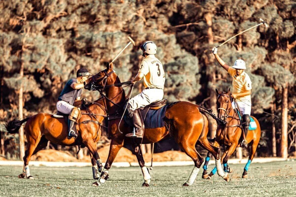 تیم ملی چوگان حضور در مسابقات جهانی را از دست داد / نرفتن به جام جهانی آمریکا به دلیل صدور ناقص ویزا