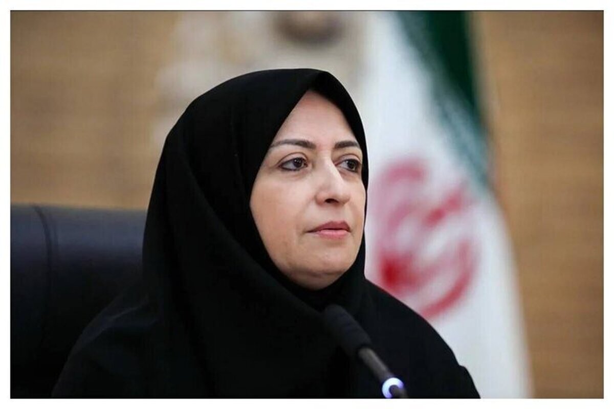 انصاری: حل مشکلات زیست&zwnj;محیطی بدون حضور زنان و بخش خصوصی ممکن نیست