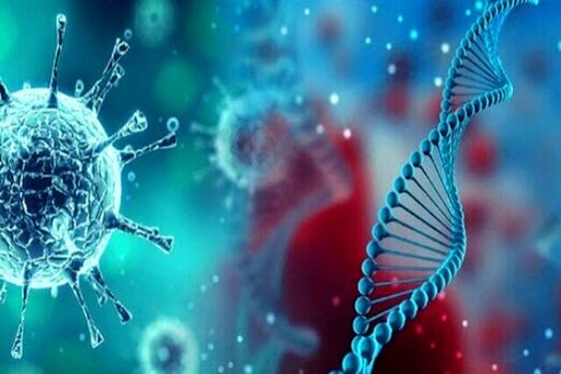 معرفی پروتئین نوترکیب جدید برای بهبود حساسیت کیت‌های تشخیص بیماری