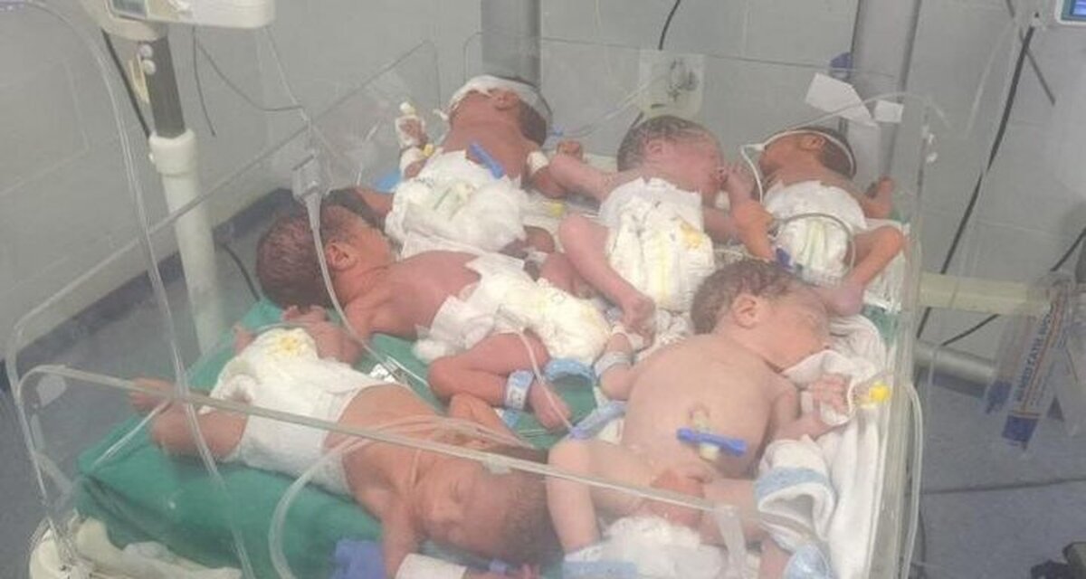 تهدید جان ۱۲ نوزاد در بیمارستان «شفاء» غزه در سایه حملات مداوم تل آویو