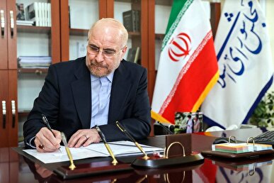 پیام تسلیت رئیس مجلس در پی درگذشت همسر آیت‌الله سیستانی