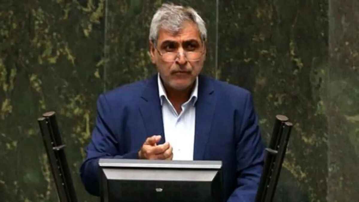 قوامی: آقای قالیباف! برای حل چالش نهادههای دامی جلسه ویژه بگذارید + فیلم