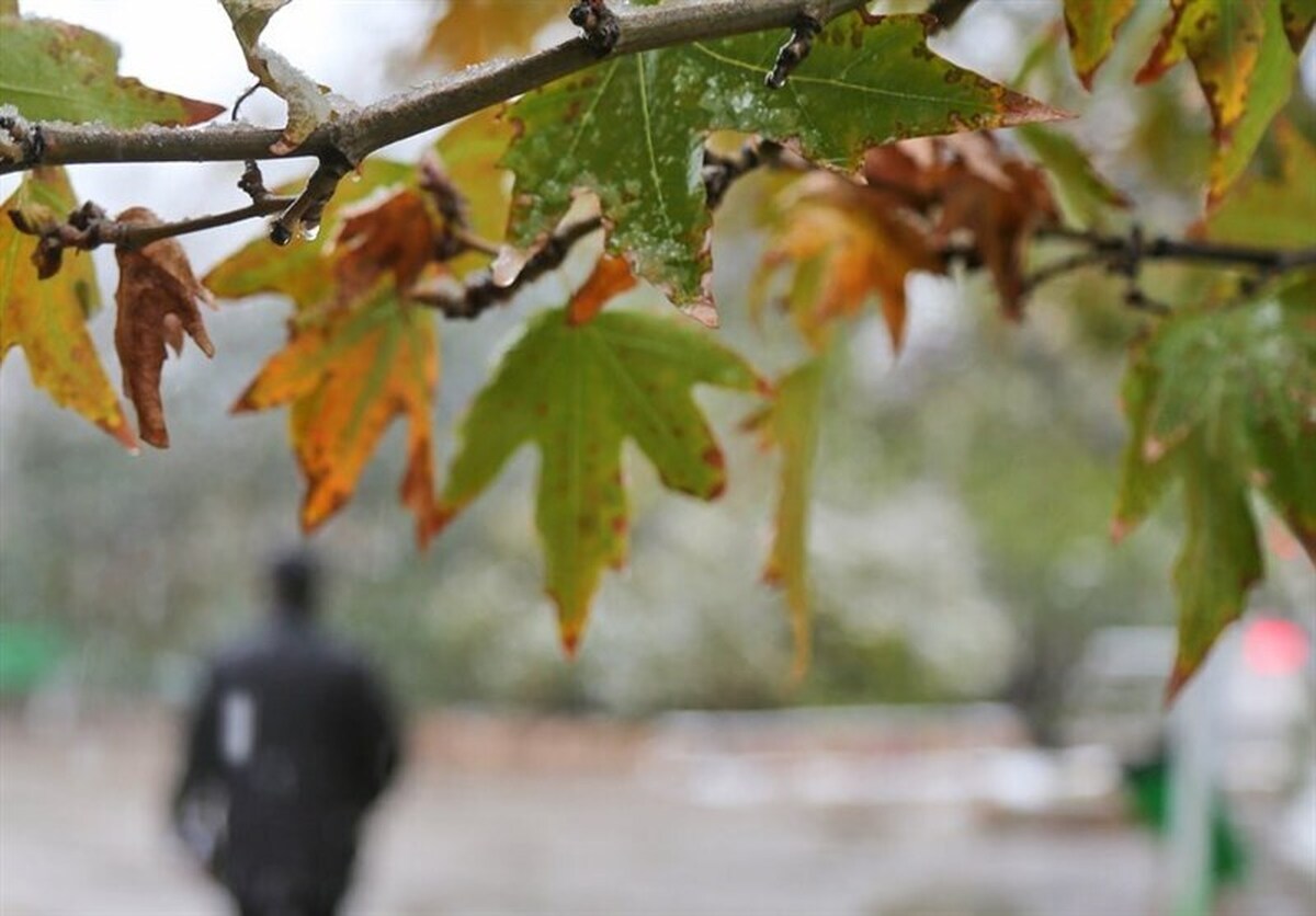 کاهش محسوس دما در نوار شمالی کشور