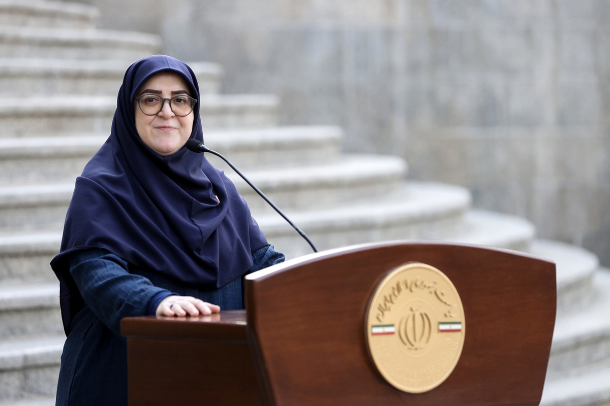 واکنش سخنگوی دولت به اظهارات نبویان در خصوص جاسوسی رژیم صهیونیستی از بستر اینترنت + فیلم