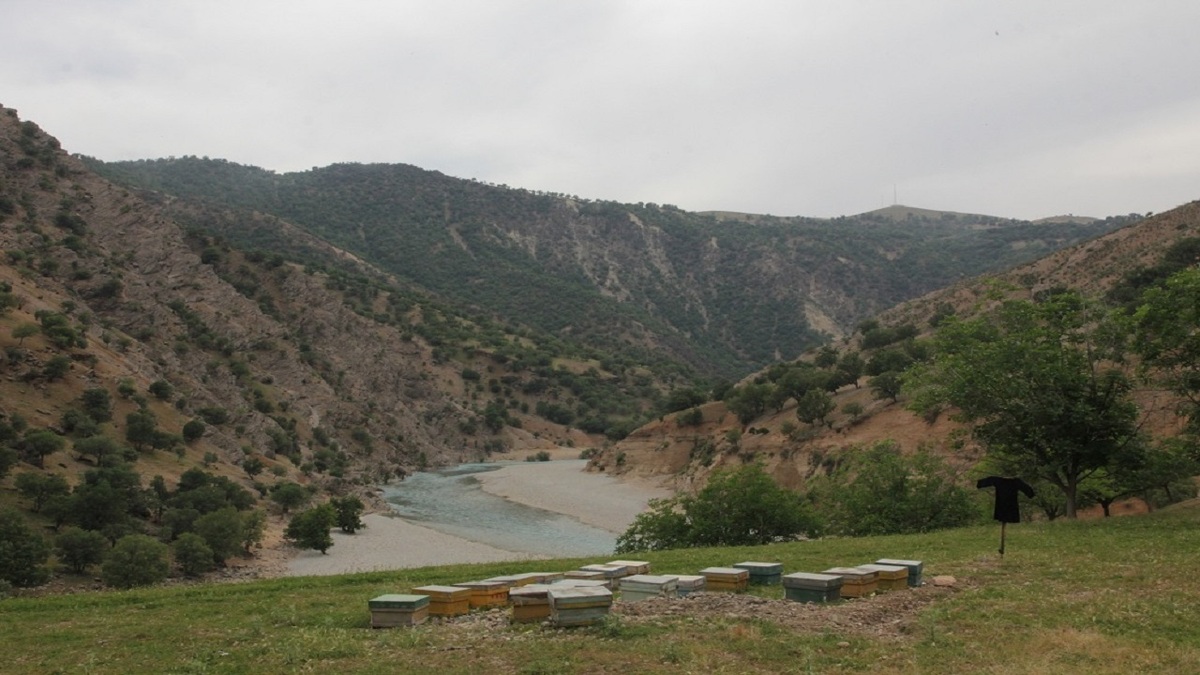 طبیعت زاگرس را دریابید! بی‌تفاوتی خطری بزرگ‌تر از خشکسالی است