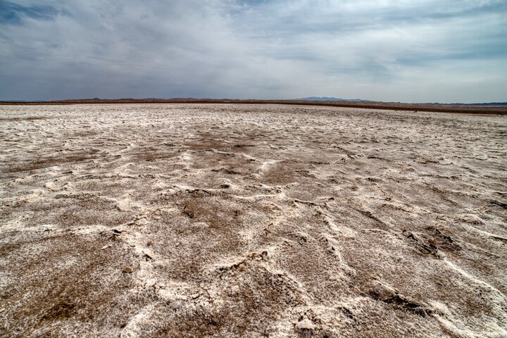 احیای امید بخش گورخر ایرانی / اهمیت رسیدگی به مسئله کمبود نیروی محیط&zwnj;بانان