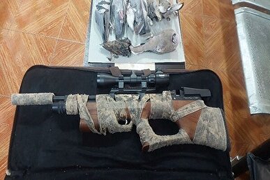 دستگیری شکارچیان غیرمجاز در ری با کشف سلاح دوربین‌دار