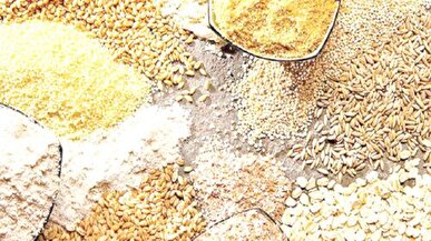 اسدیان: بحران تأمین نهاده‌های دامی نتیجه انحصارگرایی در واردات است + فیلم