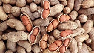 تاثیرات جالب بادام بر روی بدن!