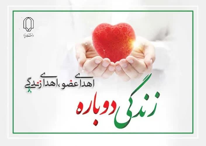 دانشجوی حادثه دیده دانشگاه یزد درگذشت/ اهدای عضو به سه بیمار