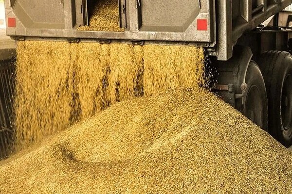 کشف ۱۳ هزار تن نهاده دامی احتکارشده در تهران