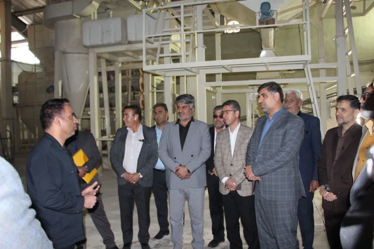 کارخانه تولید خوراک دام رفسنجان پس از ۲ سال تعطیلی مجددا آغاز به کار کرد