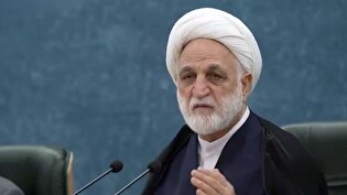 شورای حل اختلاف نباید صرفاً یک نهاد اداری باشد