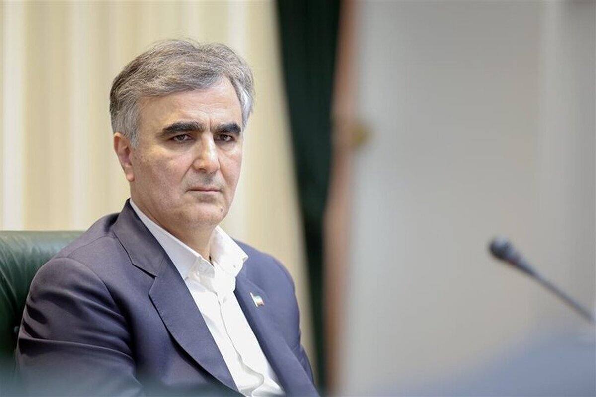 فرزین: نرخ تورم افزایش یافته و به ۳۸.۹ درصد رسیده است + فیلم