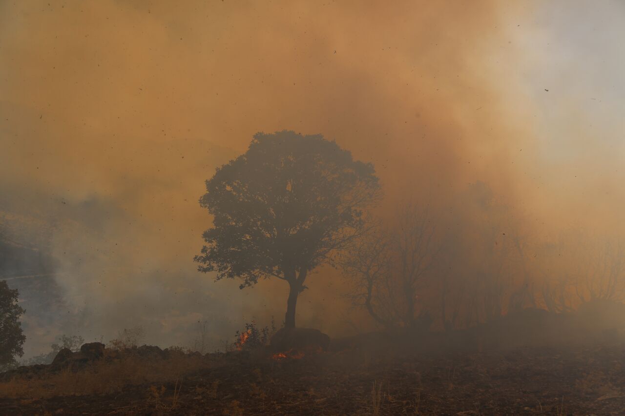 زاگرس میان وعده و آتش؛ مسئولان منتظر بالگرد، سودجویان مشغول شعله&zwnj;افروزی
