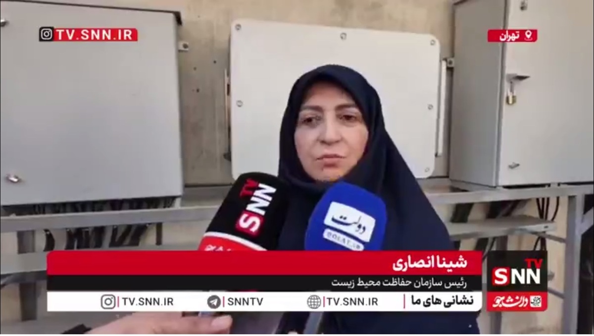 شینا انصاری: توسعه نیروگاه&zwnj;های خورشیدی راهکاری مؤثر برای مقابله با کمبود برق است