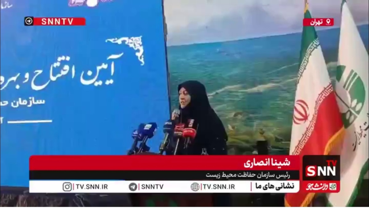 شینا انصاری: سازمان حفاظت محیط زیست در استفاده از انرژی خورشیدی می&zwnj;تواند به عنوان الگو مطرح شود