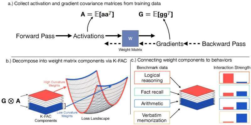 کشف شگفتانگیز در هوش مصنوعی: حافظه و استدلال در مغز ماشینی از هم جدا هستند!