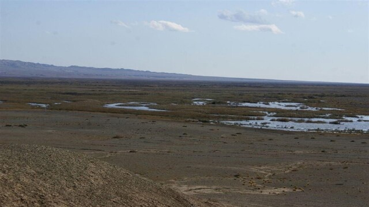 حاجی زاده: حقابه قم از رودخانه شور و حیات تالاب&zwnj;ها