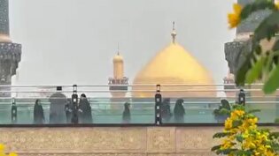 حرم امیرالمؤمنین بارانی شد