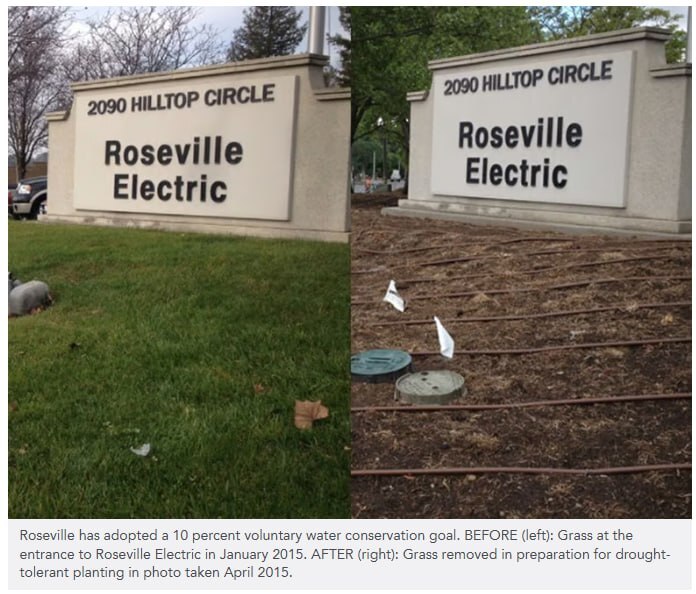 بحران آب را با یک روز باران فراموش نکنیم! / لزوم توجه دولت به مدیریت تقاضای آب