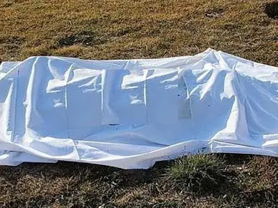 پیرمرد ۶۴ ساله در ایلام برادرش را کشت