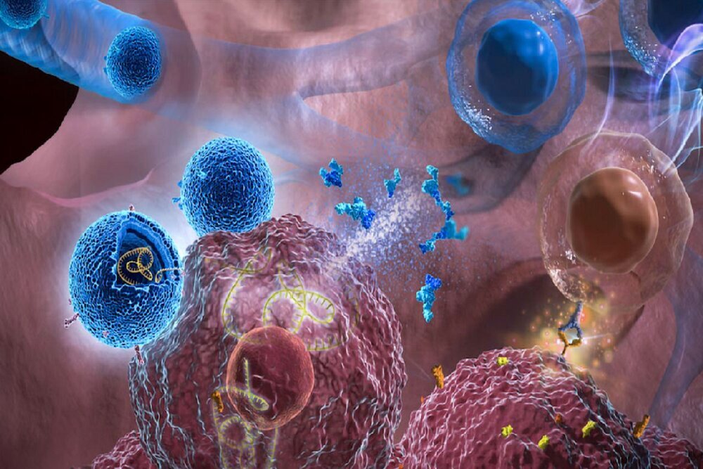 فتح قلهای دیگر در داروسازی ایران؛ نخستین ونتوکلاکس ایرانی وارد بازار شد