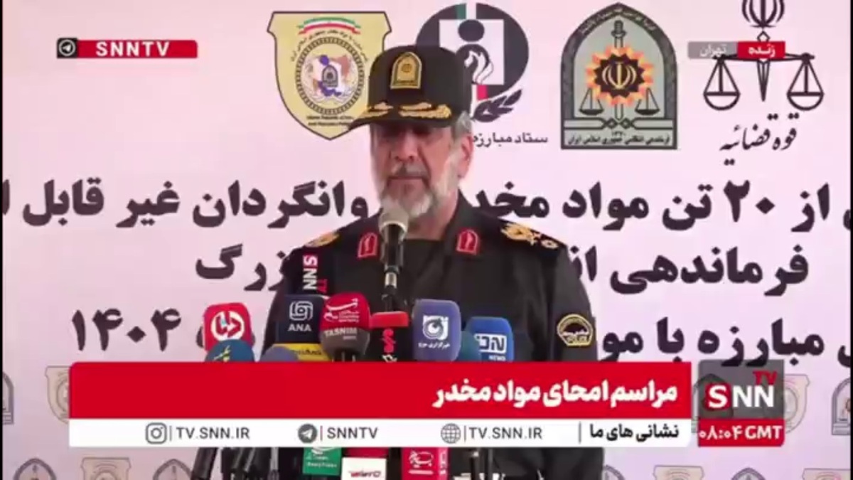 روایت فرمانده پلیس تهران بزرگ از مبارزه با مواد مخدر/ سردار محمدیان: دره فرحزاد که به دلیل تعدد معتاد متجاهر امکان ورود نداشت تبدیل به مکان تفریح خانواده&zwnj;ها شده است