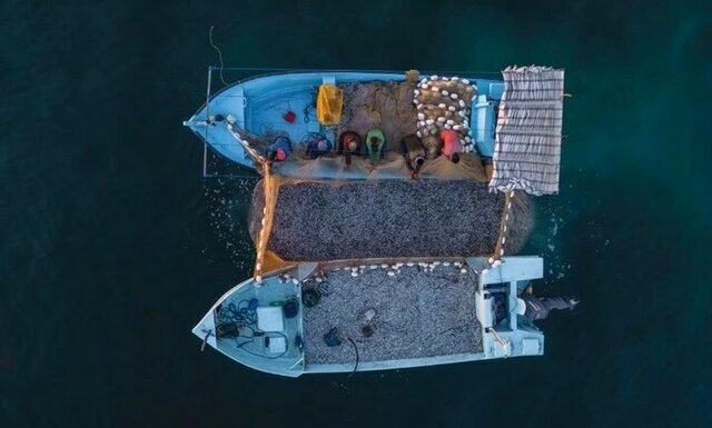 یک شناور غیرمجاز و تجهیزات صید شب‌چراغی در جاسک ضبط شد