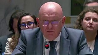 امروز روز غم انگیزی برای شورای امنیت است